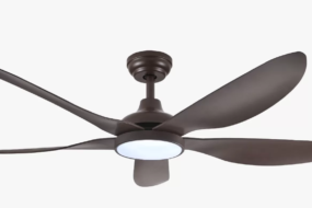 Ceiling Fan with Light