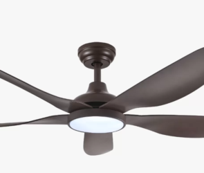 Ceiling Fan with Light